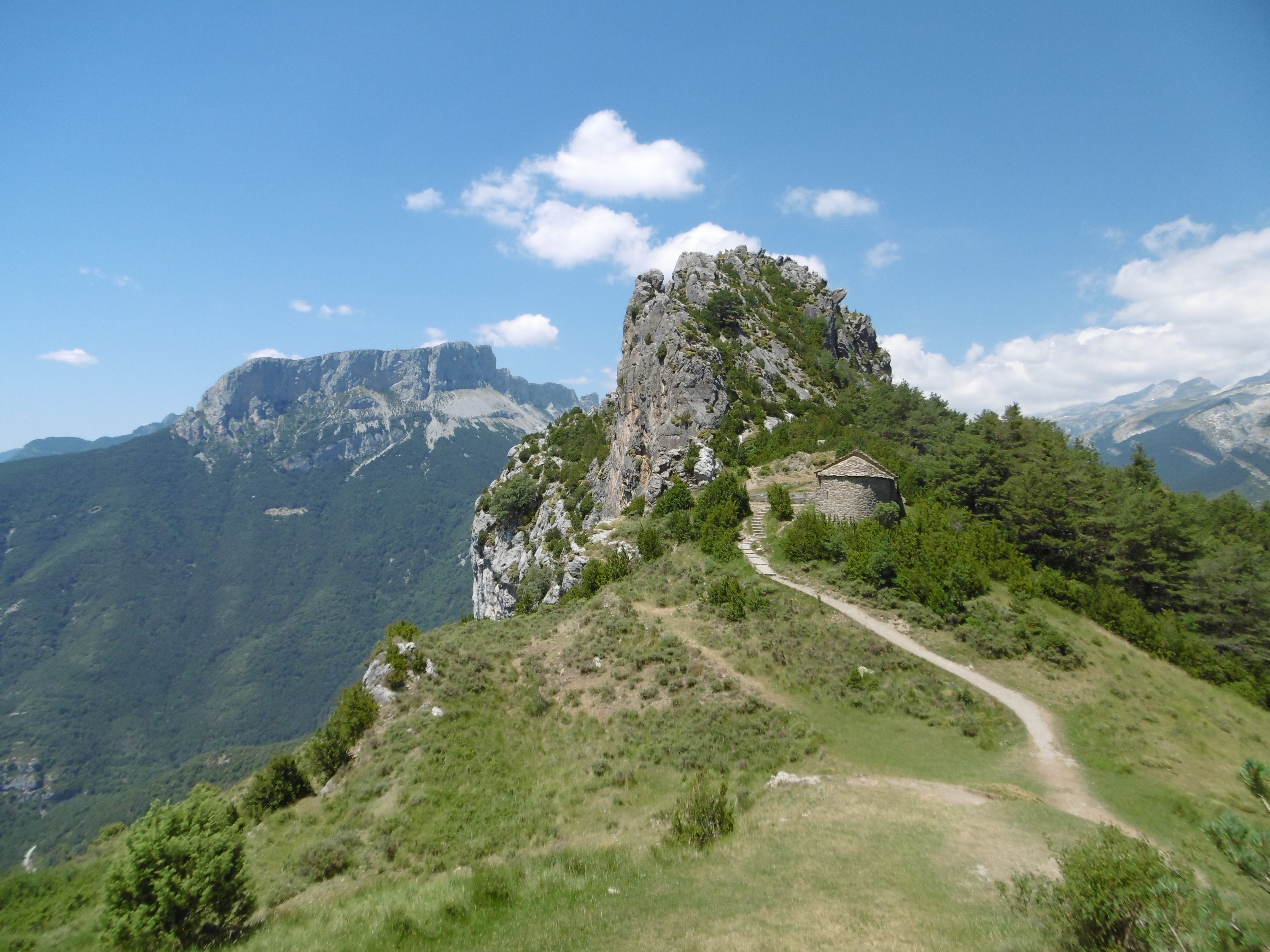 P1000784.jpg