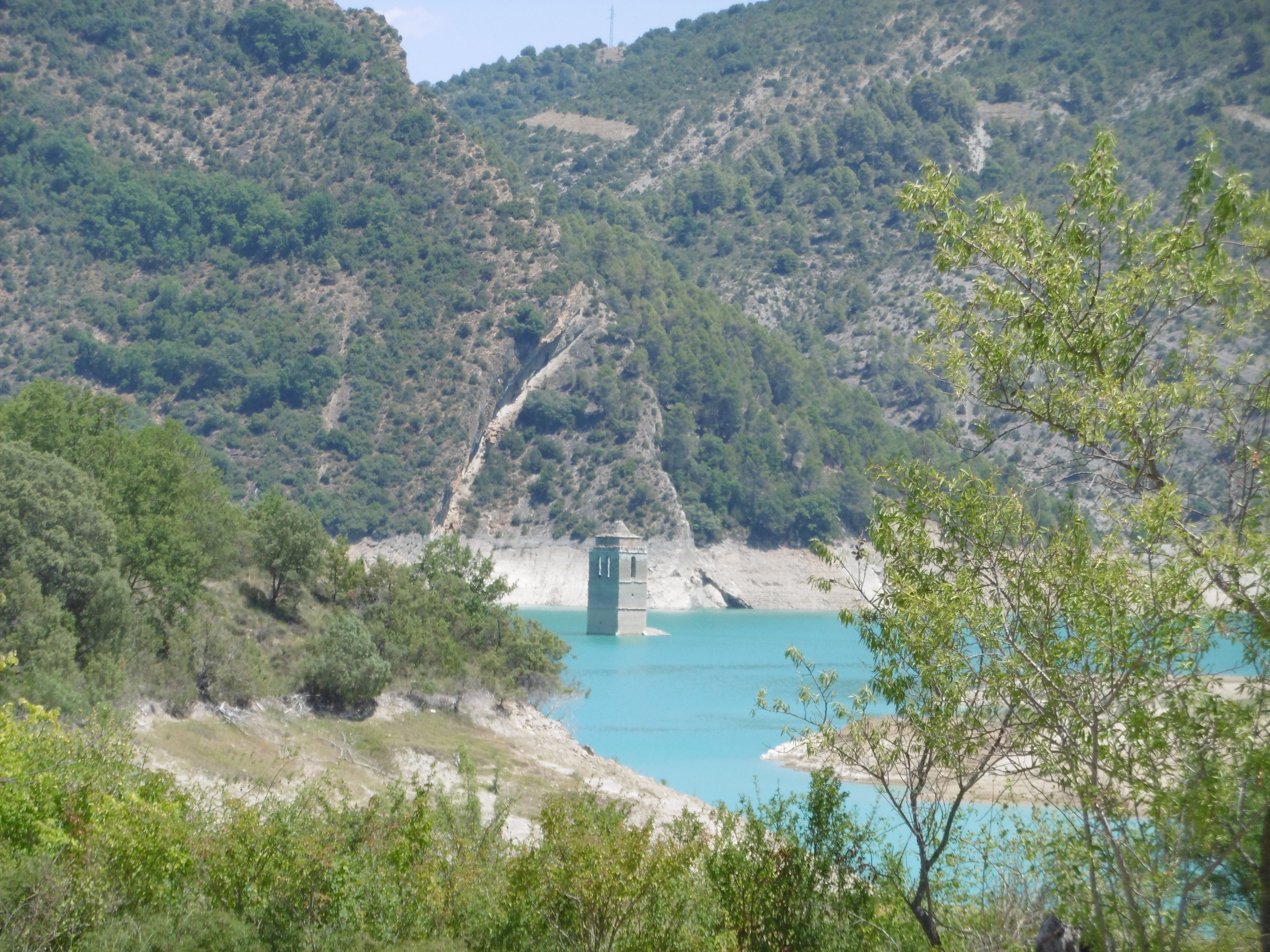 P1000902.jpg